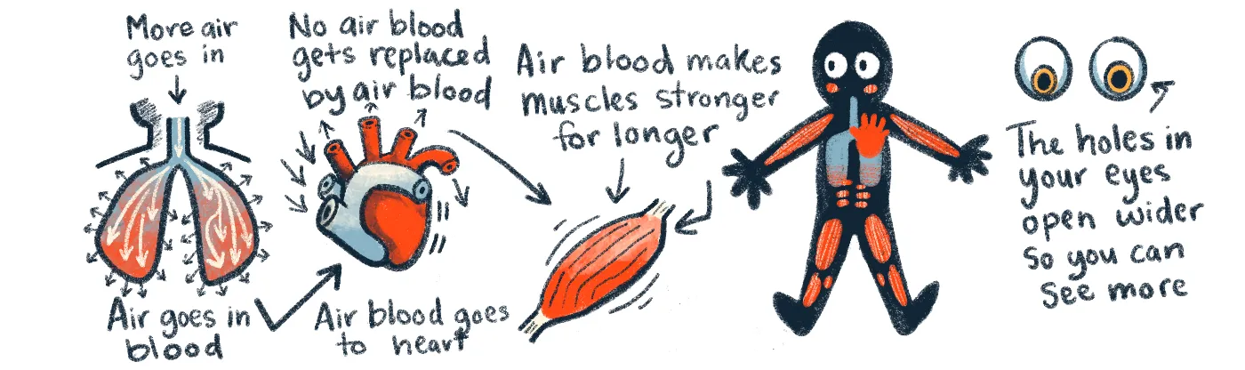 illustration of a series of actions your body takes to prepare you for dangerous and stressful events to increase the chances of your survival