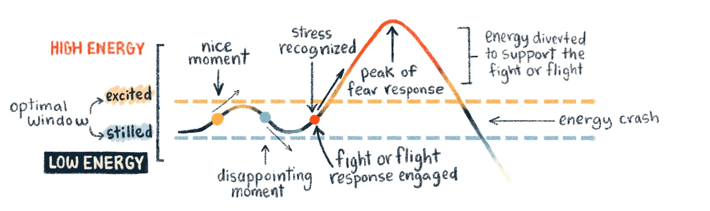 A line graph showing the variation of someone's emotional energy throughout a day including a fear response spike and crash.