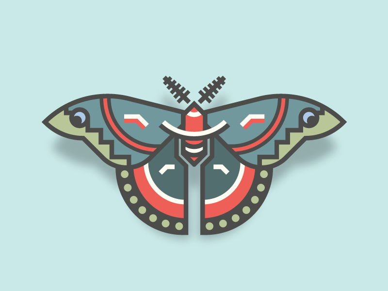 Cecropia Moth | Butterfly Series