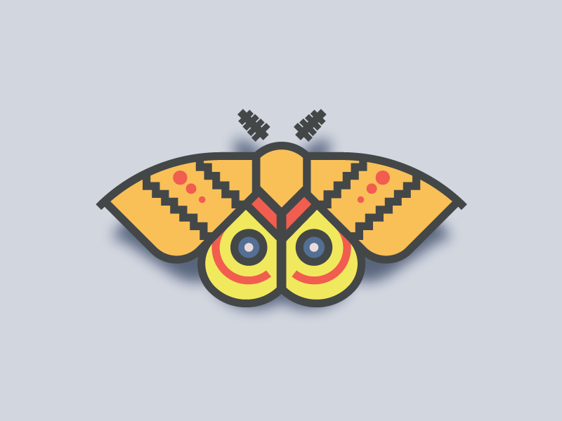 Io Moth | Butterfly Series