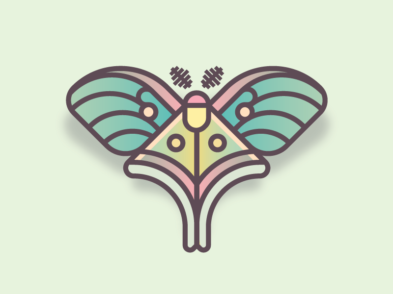 Luna Moth | Butterfly Series